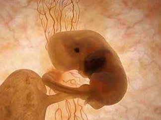 泰国试管婴儿医院好吗？品质之选还是炒作？