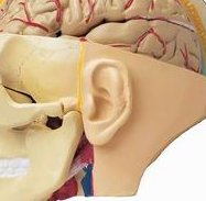 2026黑龙江试管婴儿要多少钱？