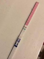 试管移植失败怎么办？如何调整试管移植失败？