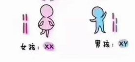 珠海地区有哪些私立的机构可以做试管技术？印度尼西亚人工受孕多少钱？包含哪些项目？